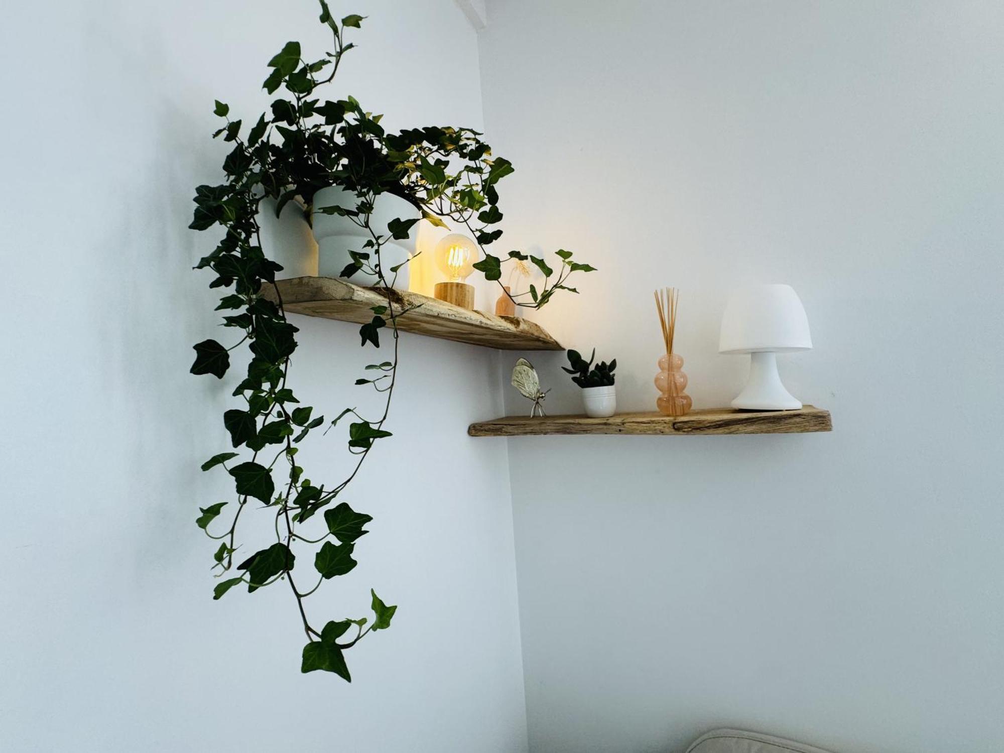 Le Piccolo - Appartement Cosy - Wifi Bègles Kültér fotó